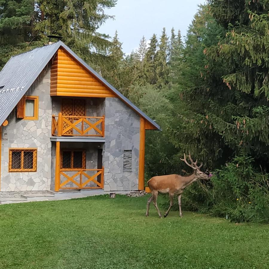 Chata Tatry Tatranska Strba Bagian luar foto